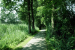 Naar de Wythmenerplas